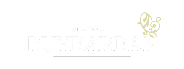 Chateau Puybarban blanc